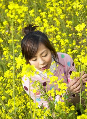 安心の通販で手軽に入手！ツムラの柴胡桂枝湯エキス顆粒で健康管理