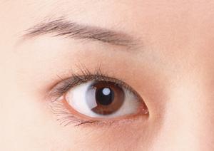 フコイダンの驚くべき健康効果と選び方ガイド：免疫力向上に役立つ天然成分を徹底解説